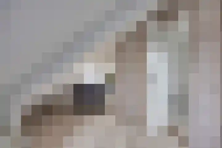 Kom van Aaiweg 11 Leiderdorp thumbnail 42