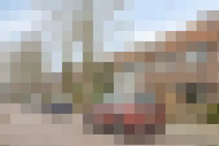 Kom van Aaiweg 11 Leiderdorp thumbnail 43