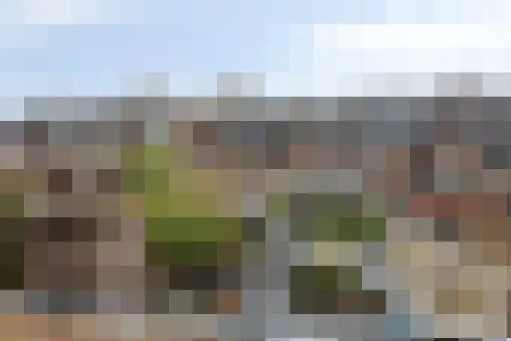 Kom van Aaiweg 11 Leiderdorp thumbnail 45