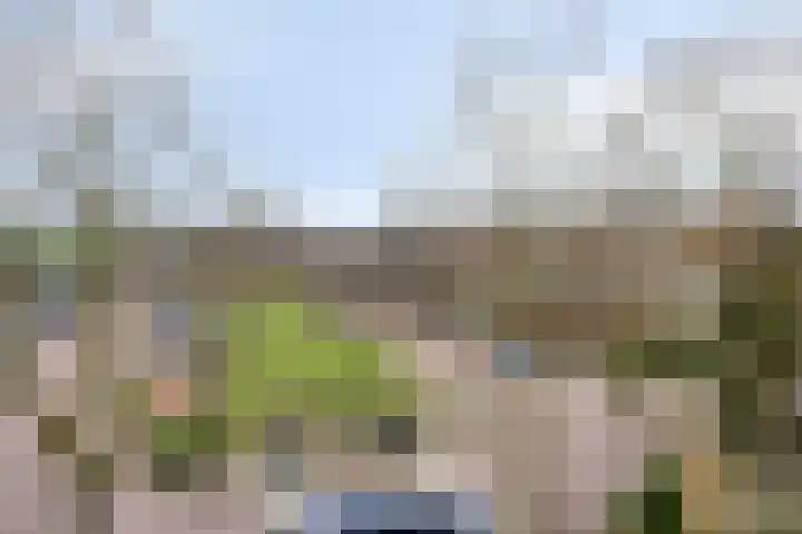 Kom van Aaiweg 11 Leiderdorp thumbnail 47