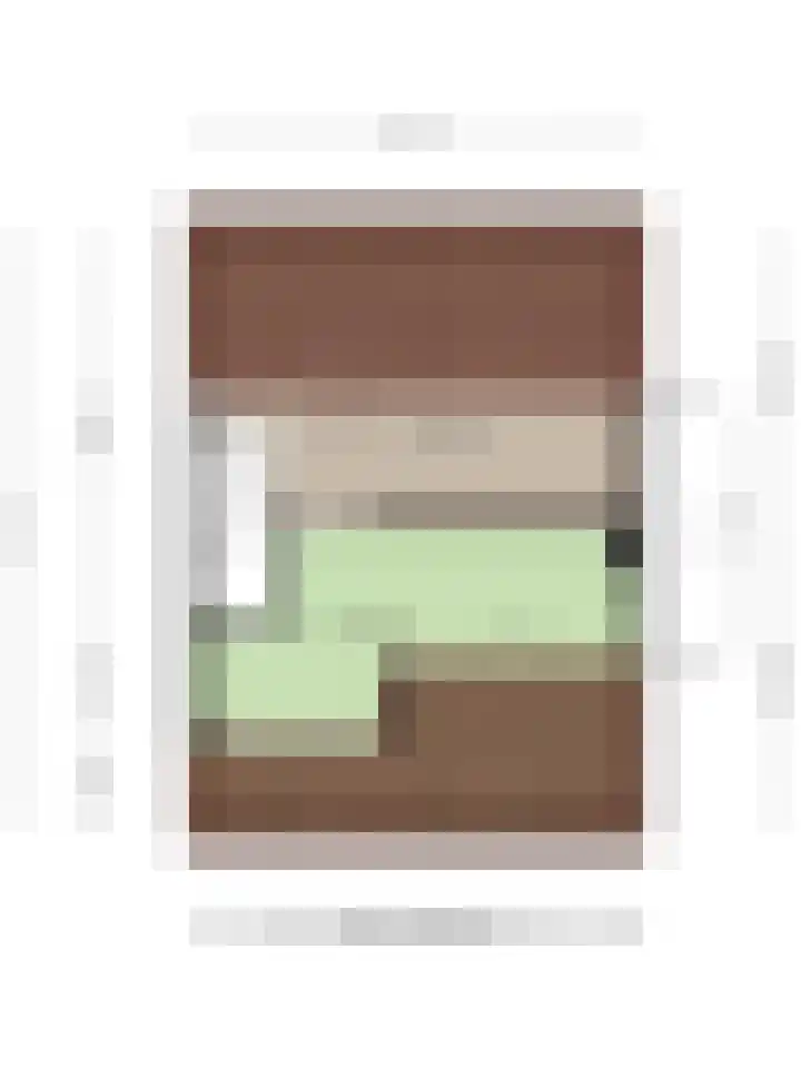 Kom van Aaiweg 11 Leiderdorp thumbnail 54
