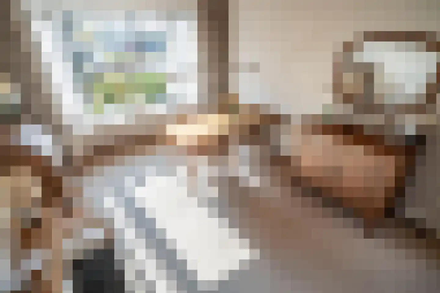 Kom van Aaiweg 15 Leiderdorp thumbnail 10