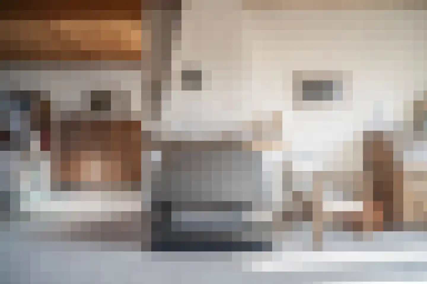Kom van Aaiweg 15 Leiderdorp thumbnail 11