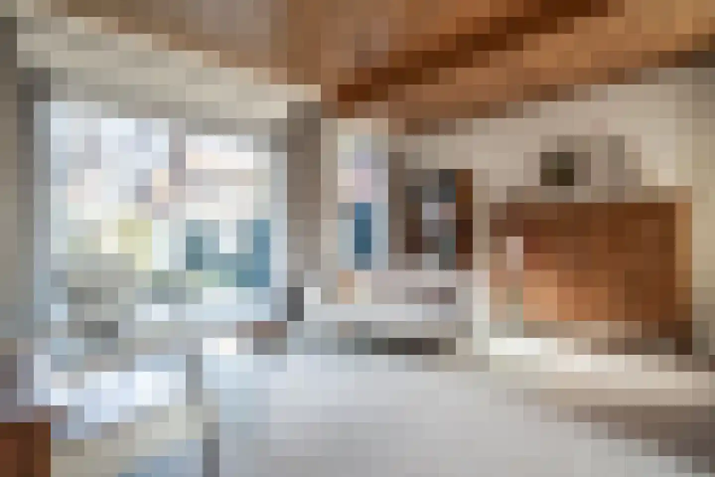 Kom van Aaiweg 15 Leiderdorp thumbnail 16