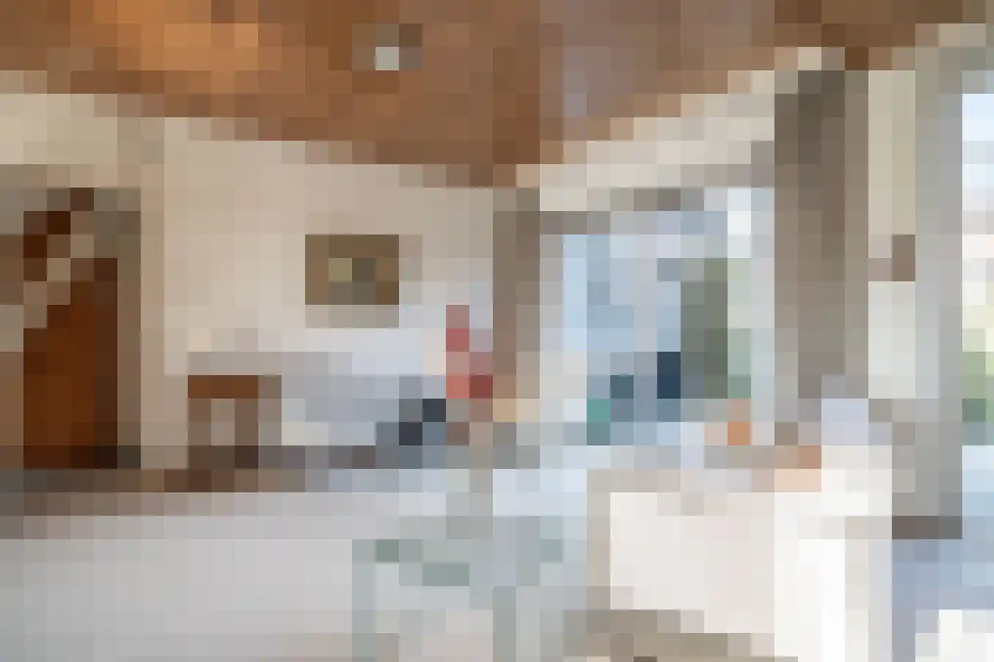 Kom van Aaiweg 15 Leiderdorp thumbnail 23