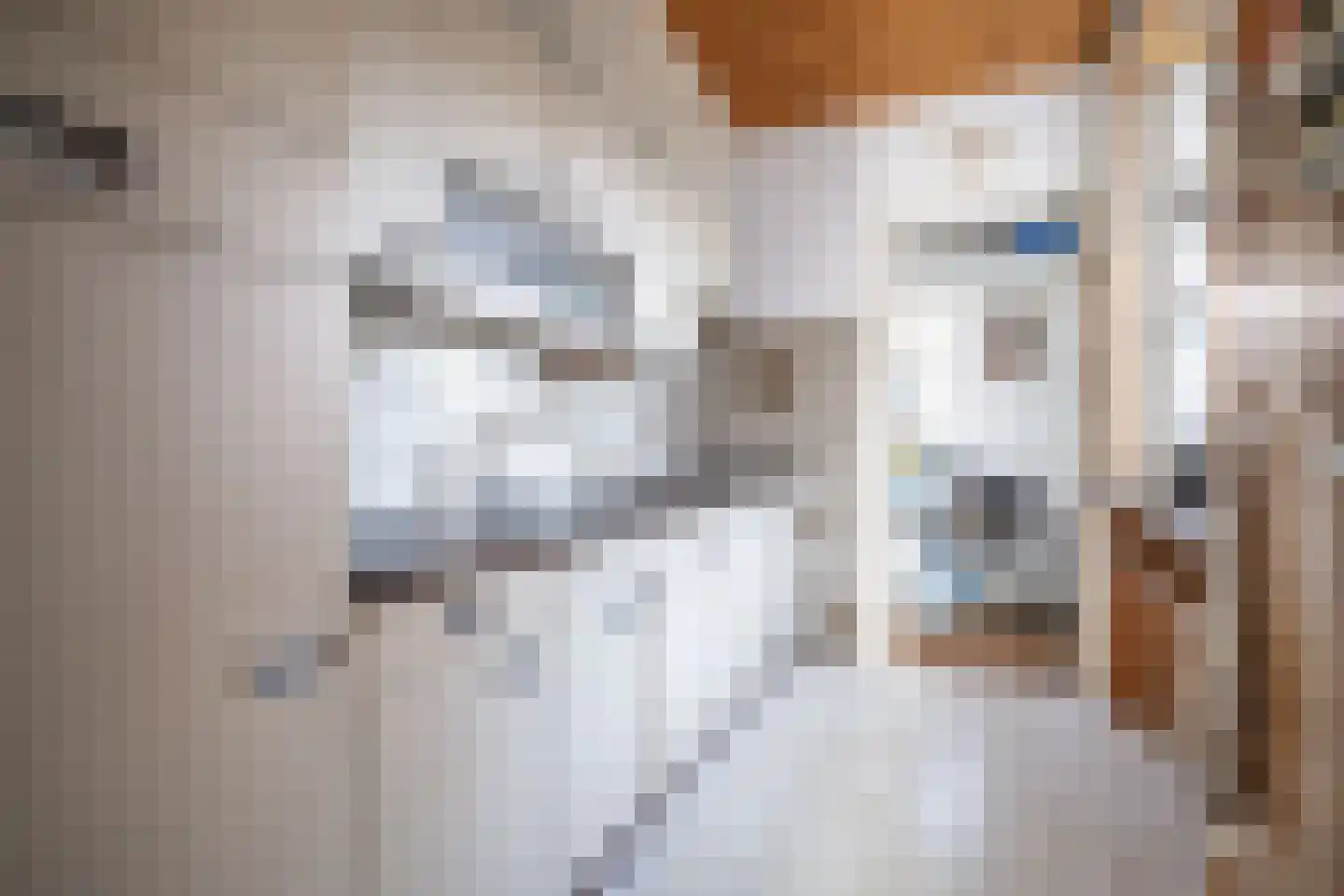 Kom van Aaiweg 15 Leiderdorp thumbnail 26