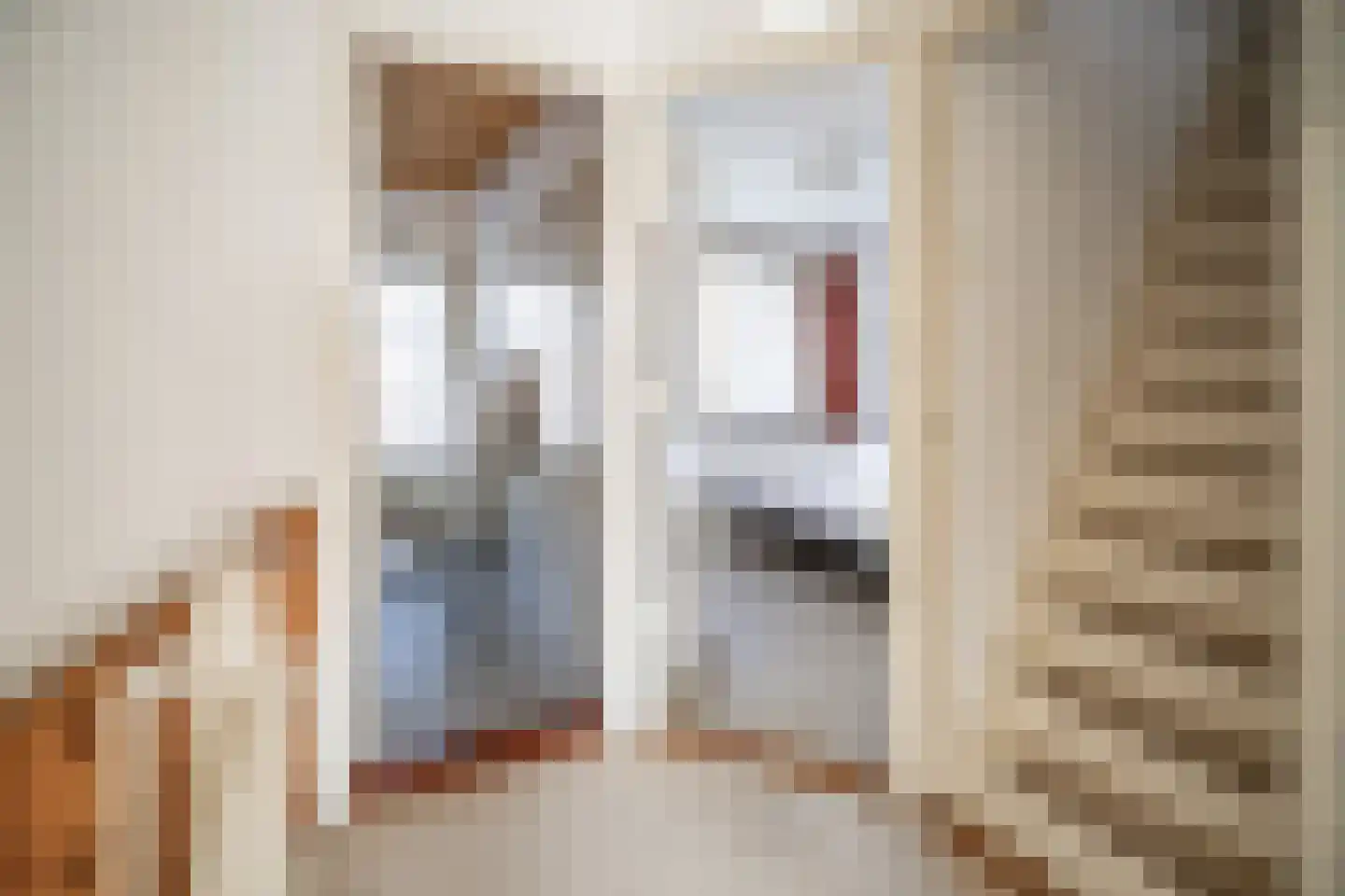 Kom van Aaiweg 15 Leiderdorp thumbnail 31