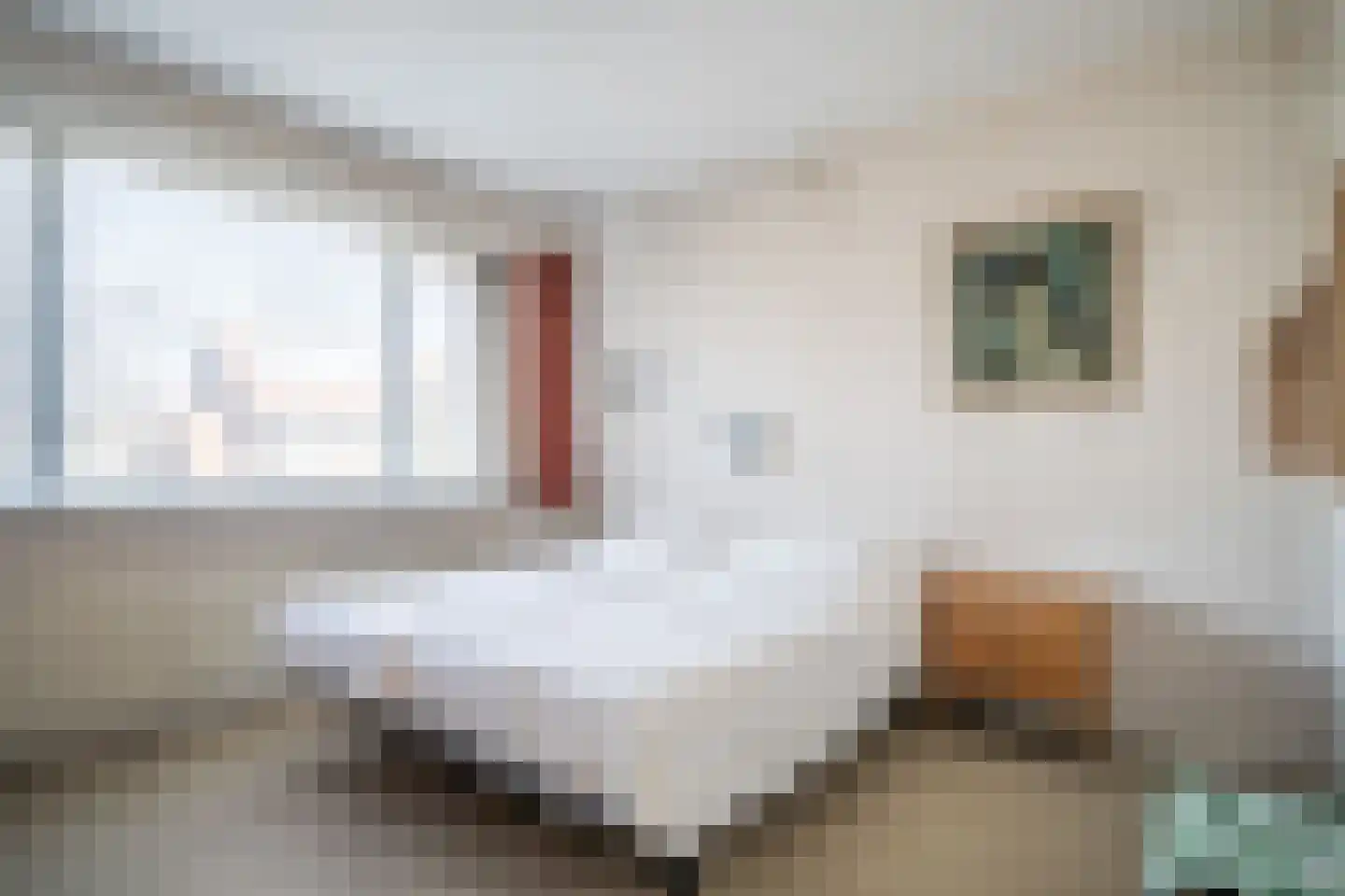 Kom van Aaiweg 15 Leiderdorp thumbnail 38