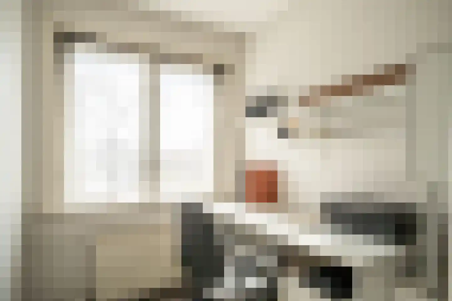 Kom van Aaiweg 15 Leiderdorp thumbnail 42