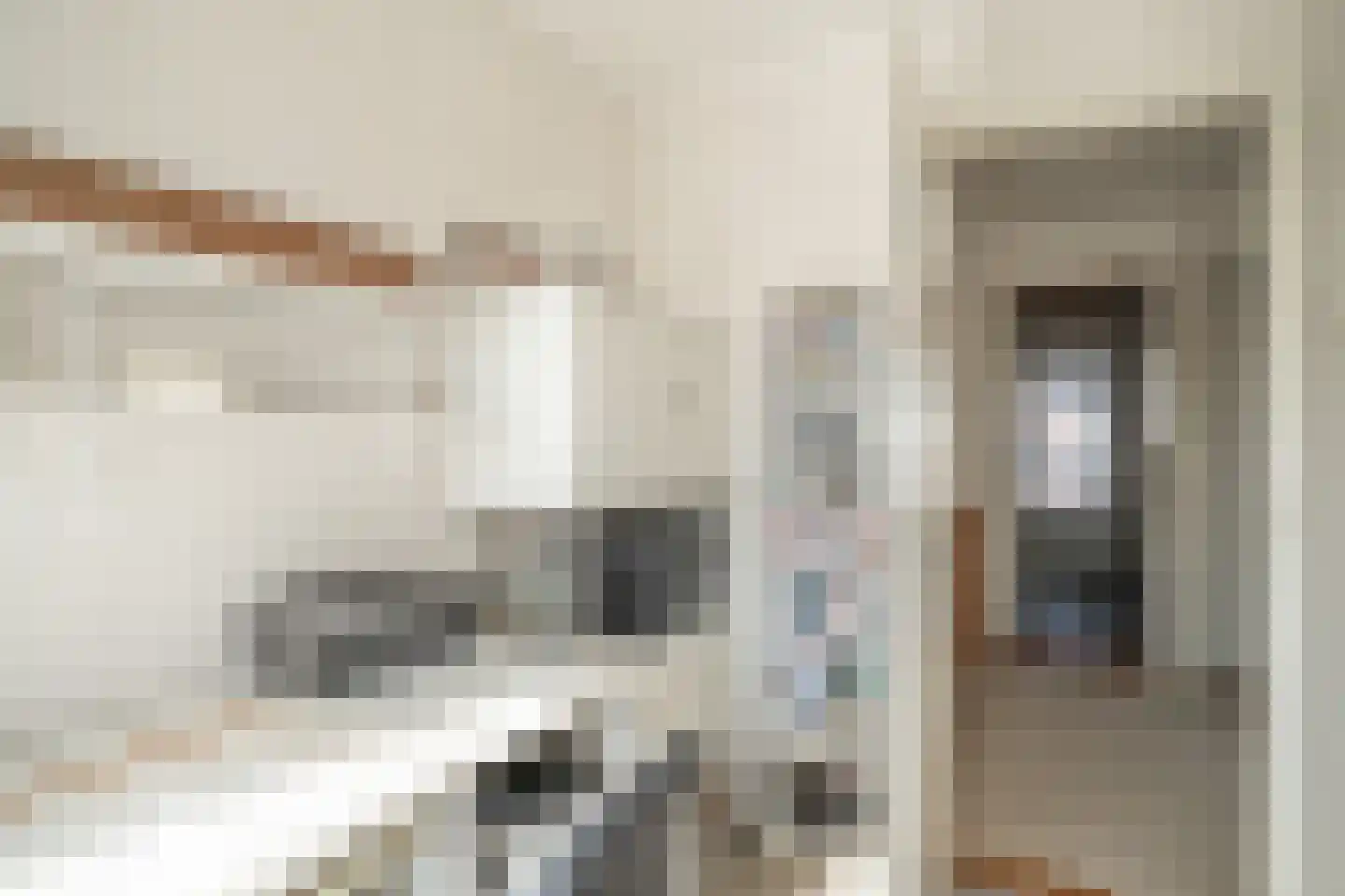 Kom van Aaiweg 15 Leiderdorp thumbnail 43