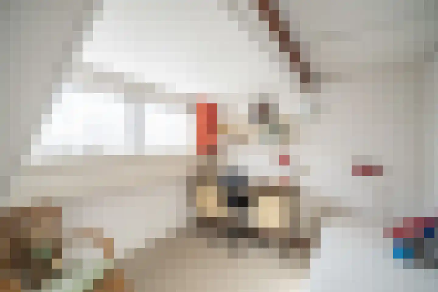 Kom van Aaiweg 15 Leiderdorp thumbnail 48