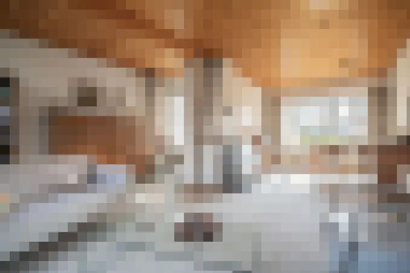 Kom van Aaiweg 15 Leiderdorp thumbnail 5