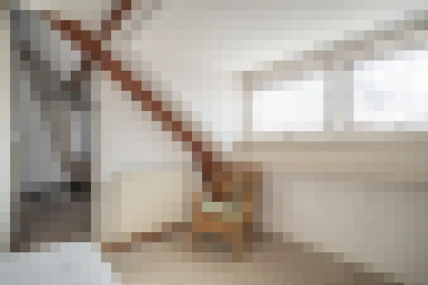Kom van Aaiweg 15 Leiderdorp thumbnail 50
