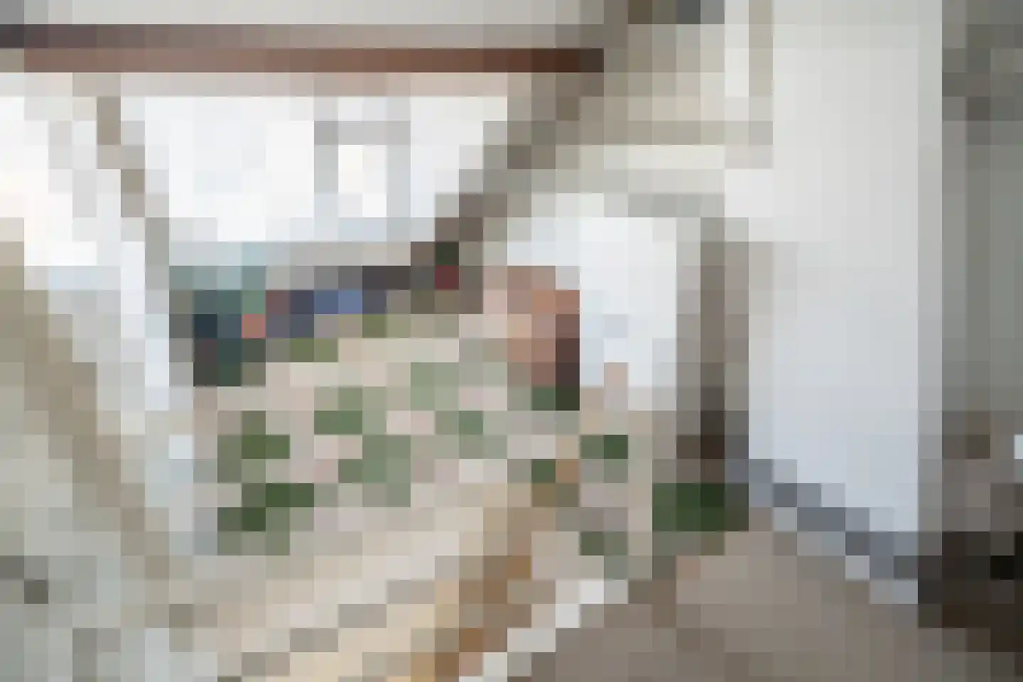 Kom van Aaiweg 15 Leiderdorp thumbnail 51