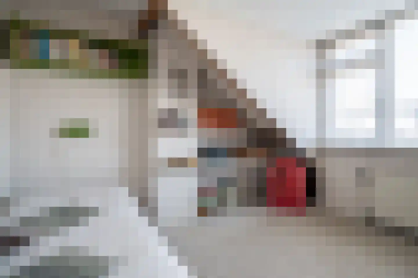 Kom van Aaiweg 15 Leiderdorp thumbnail 52