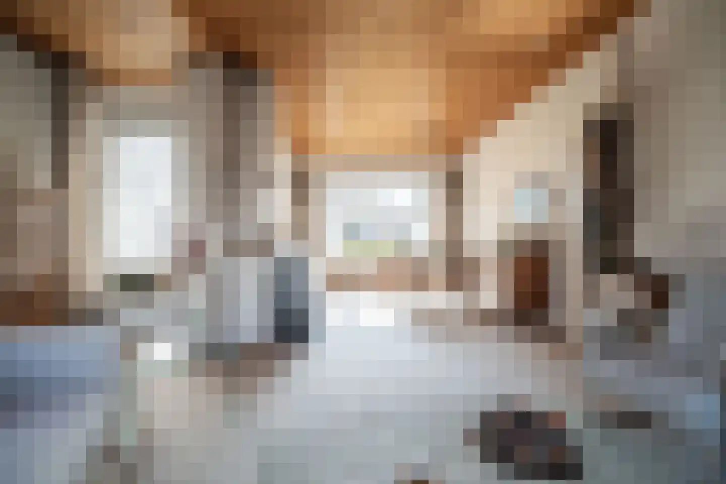 Kom van Aaiweg 15 Leiderdorp thumbnail 6
