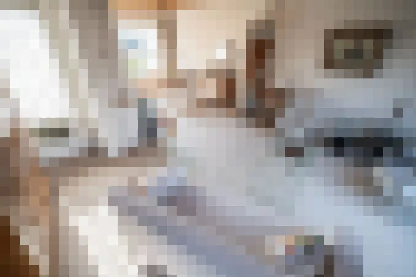 Kom van Aaiweg 15 Leiderdorp thumbnail 7