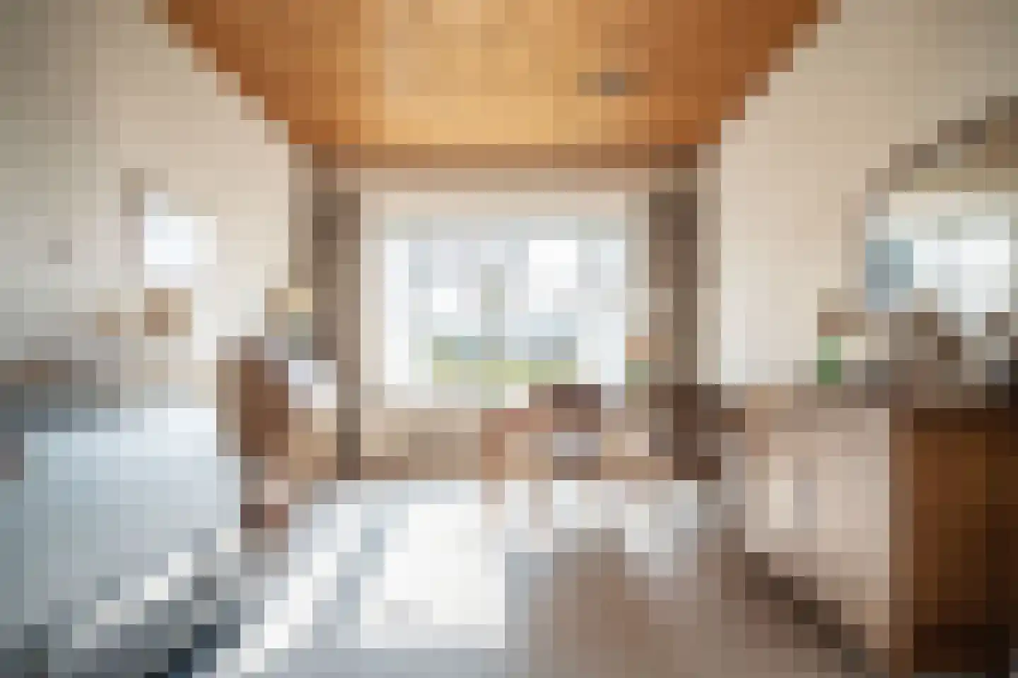 Kom van Aaiweg 15 Leiderdorp thumbnail 9