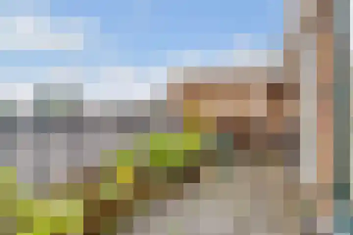 Kombos 111 Doorn thumbnail 16