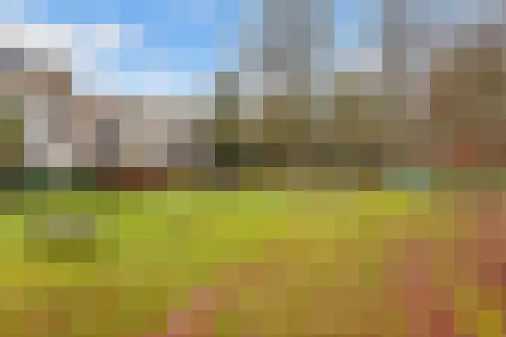Kombos 111 Doorn thumbnail 32
