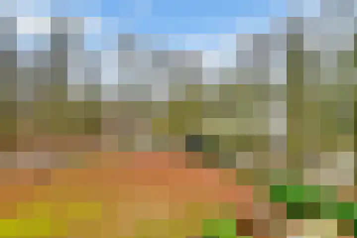 Kombos 111 Doorn thumbnail 33