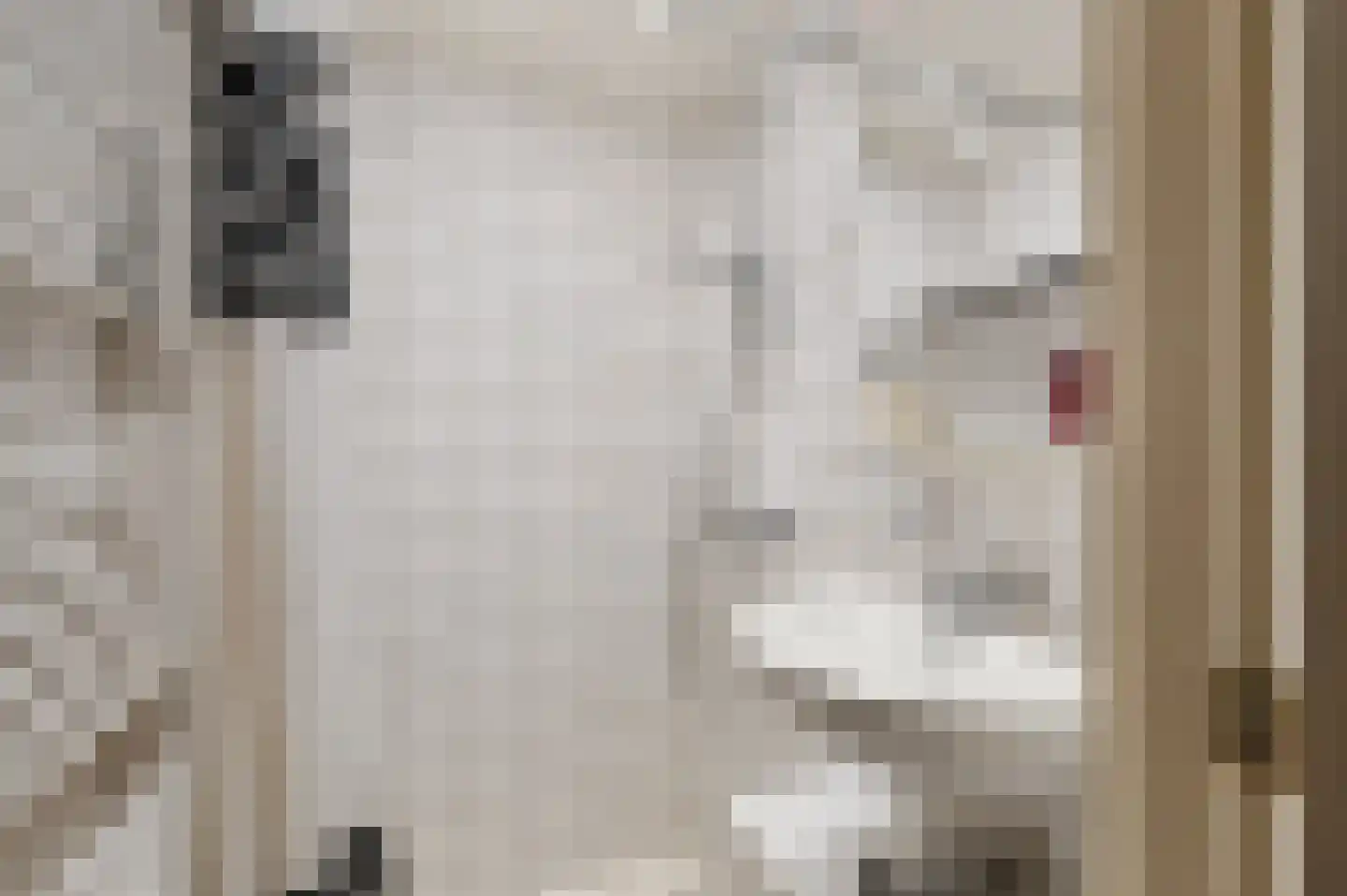 Kombos 121 Doorn thumbnail 23