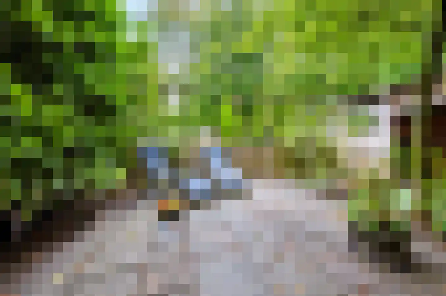 Kombos 121 Doorn thumbnail 25