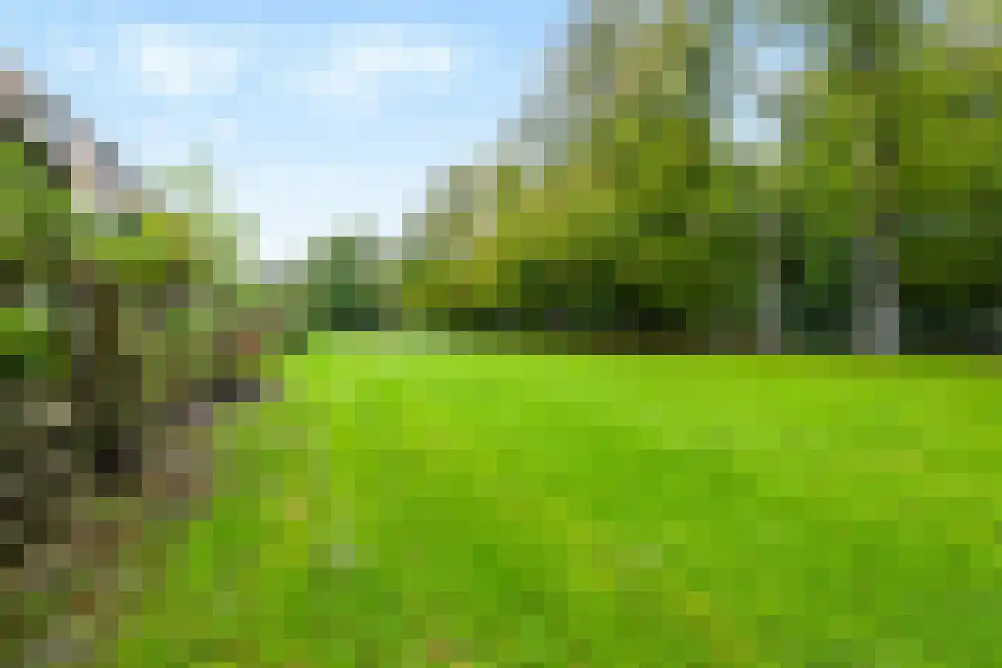Kombos 121 Doorn thumbnail 26