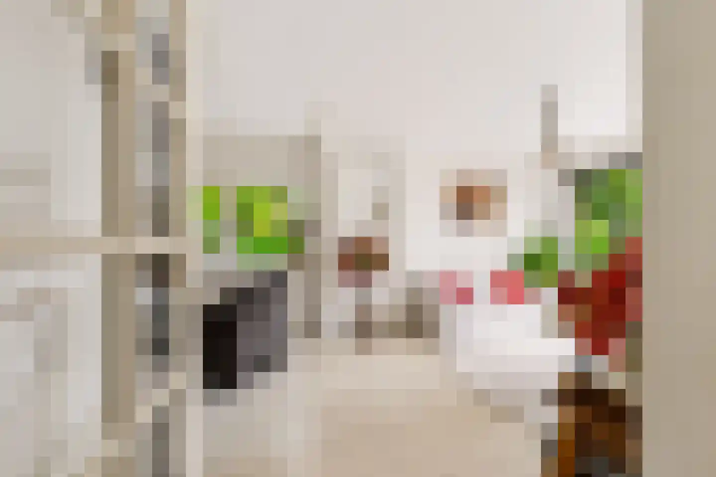 Kombos 121 Doorn thumbnail 6