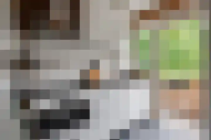 Kombos 25 Doorn thumbnail 13