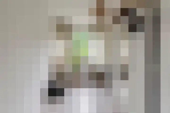 Kombos 25 Doorn thumbnail 18