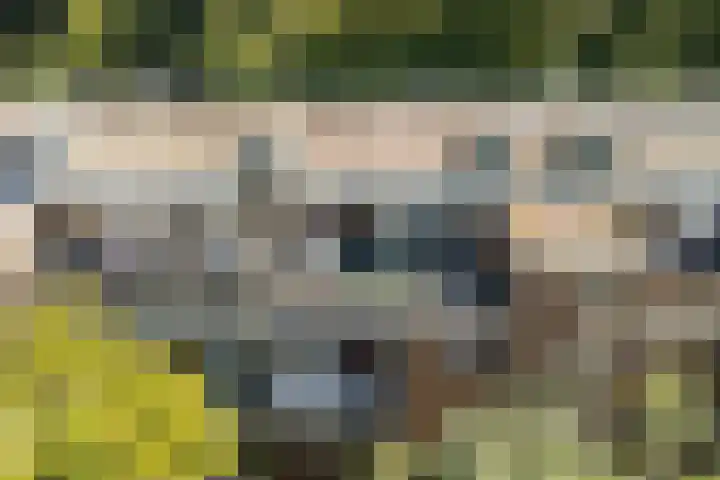 Kombos 55 Doorn thumbnail 16