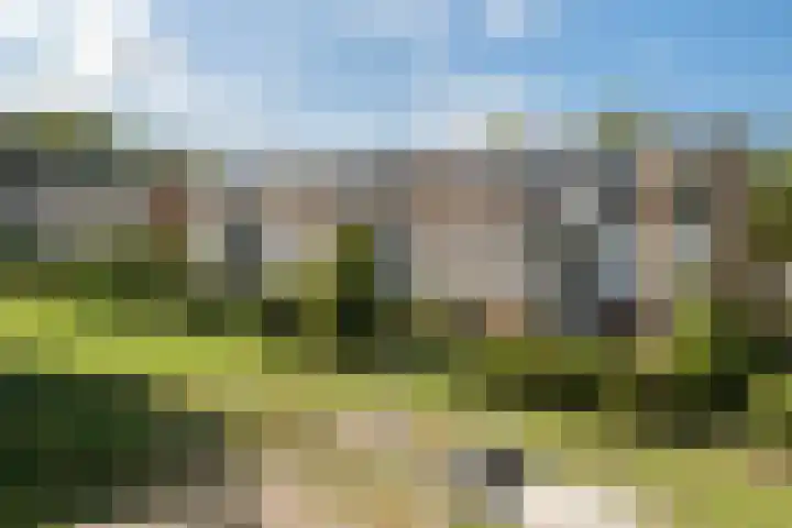 Kombos 55 Doorn thumbnail 25