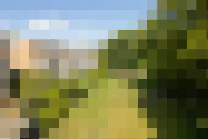 Kombos 55 Doorn thumbnail 26