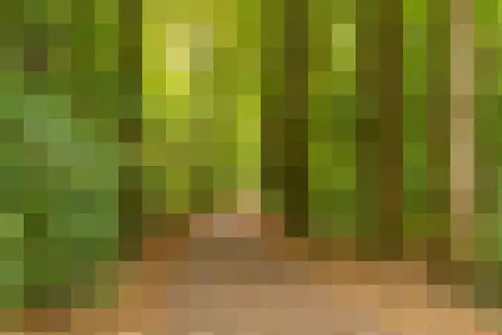 Kombos 55 Doorn thumbnail 27