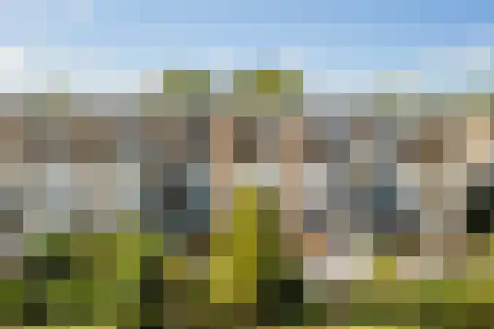 Kombos 55 Doorn thumbnail 5