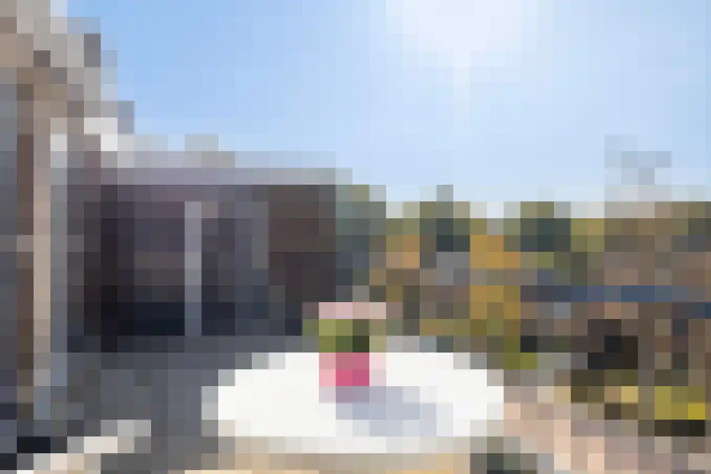 Kombos 71 Doorn thumbnail 10