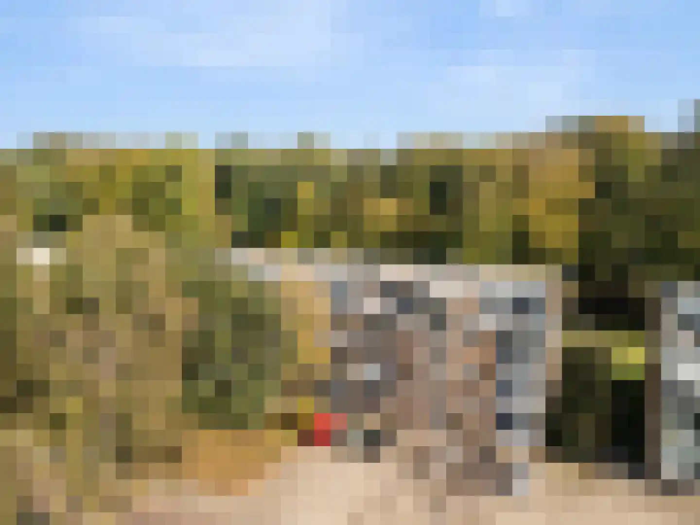 Kombos 71 Doorn thumbnail 16