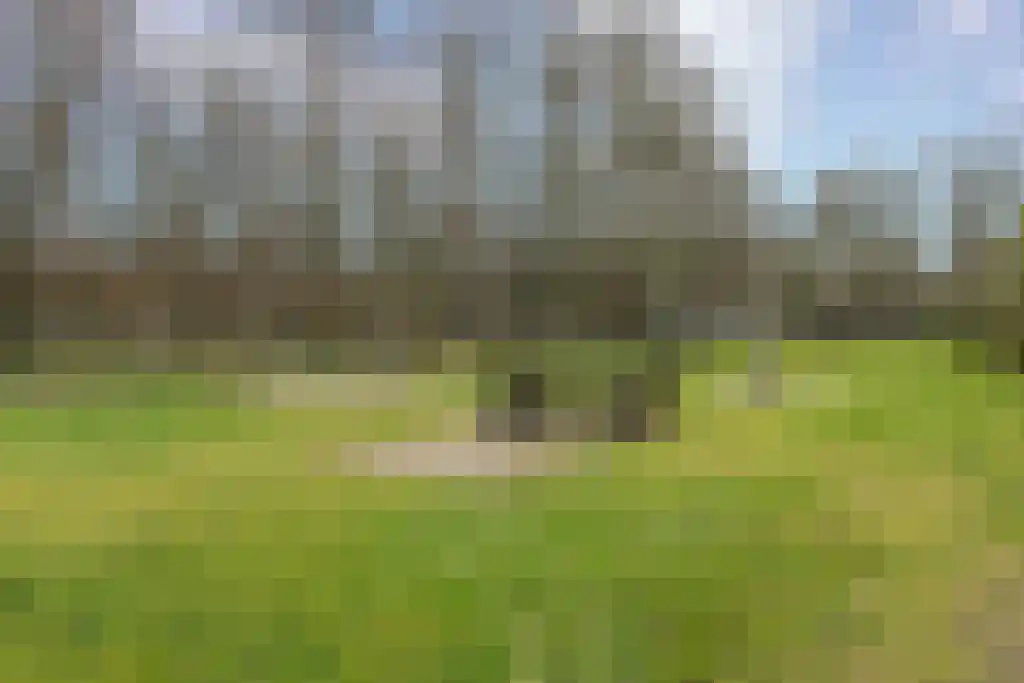 Kombos 71 Doorn thumbnail 20