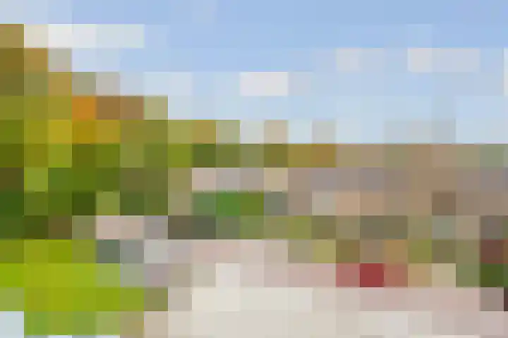 Kombos 93 Doorn thumbnail 20