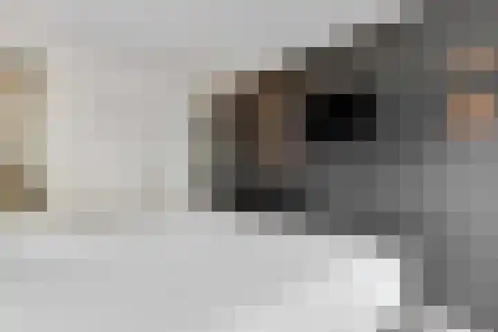 Kombos 93 Doorn thumbnail 24