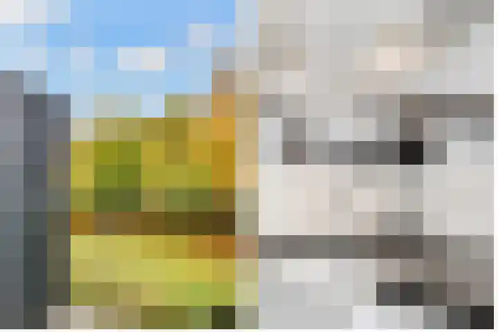 Kombos 93 Doorn thumbnail 29