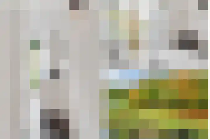 Kombos 93 Doorn thumbnail 30