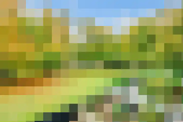 Kombos 93 Doorn thumbnail 39