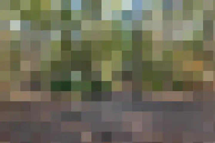 Kombos 93 Doorn thumbnail 42