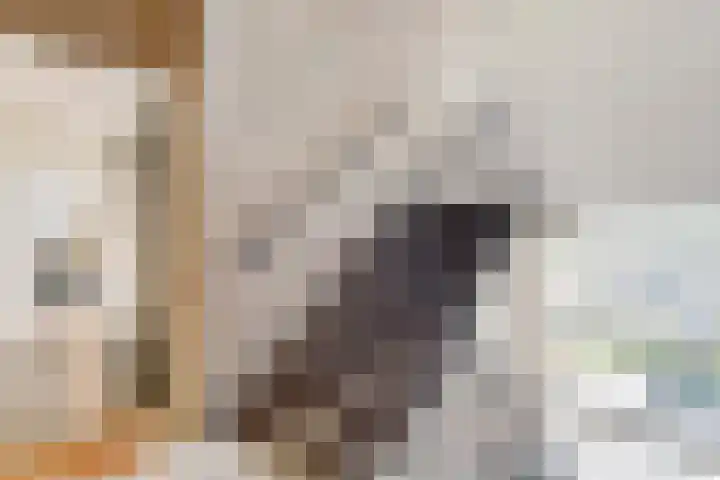 Kombos 93 Doorn thumbnail 5