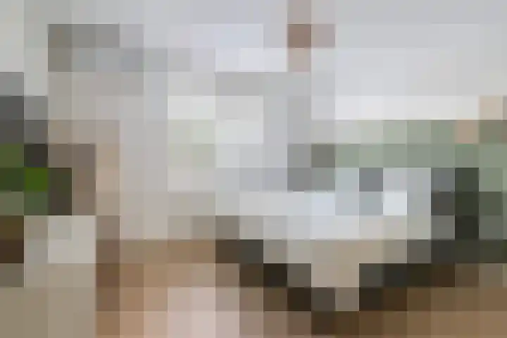 Kombuis 12 Papendrecht thumbnail 13