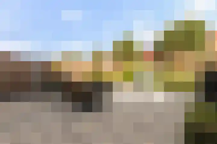 Kombuis 12 Papendrecht thumbnail 20