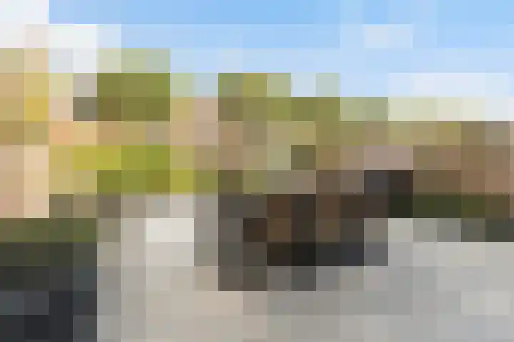 Kombuis 12 Papendrecht thumbnail 21