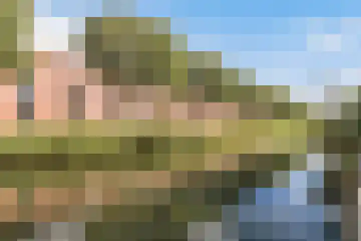 Kombuis 12 Papendrecht thumbnail 23